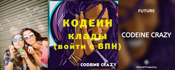 ПСИЛОЦИБИНОВЫЕ ГРИБЫ Семёнов
